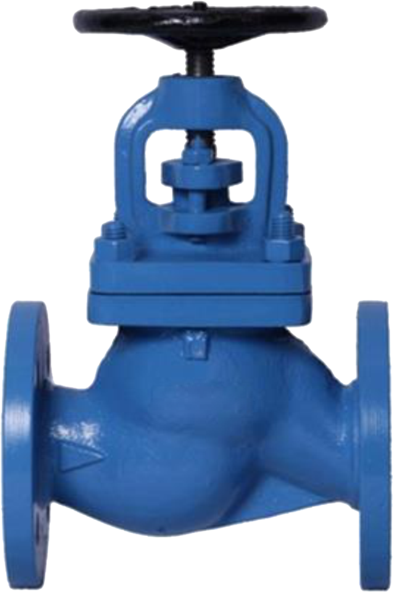 Globe Valve