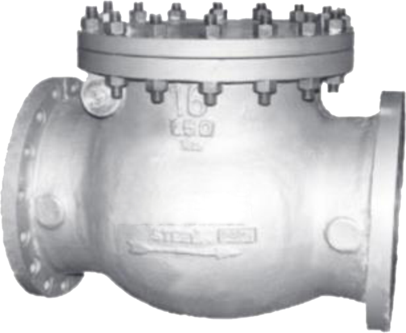 Non Return Valve